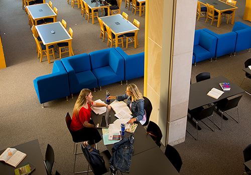 Students studying at the Brescia library