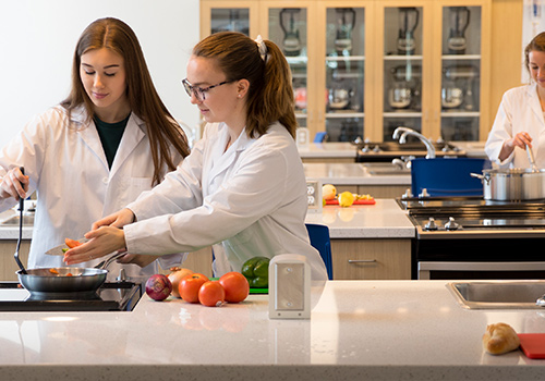 Students working together in a food lab.